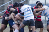 thumb_DSC_8796.JPG